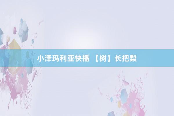 小泽玛利亚快播 【树】长把梨