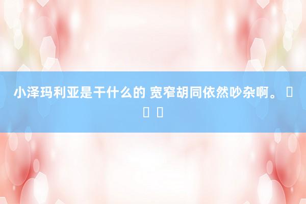 小泽玛利亚是干什么的 宽窄胡同依然吵杂啊。 ​​​