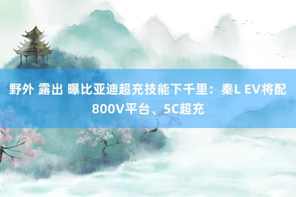 野外 露出 曝比亚迪超充技能下千里：秦L EV将配800V平台、5C超充