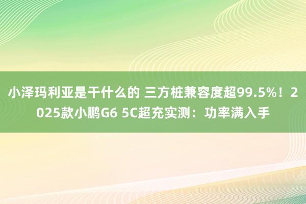 小泽玛利亚是干什么的 三方桩兼容度超99.5%！2025款小鹏G6 5C超充实测：功率满入手
