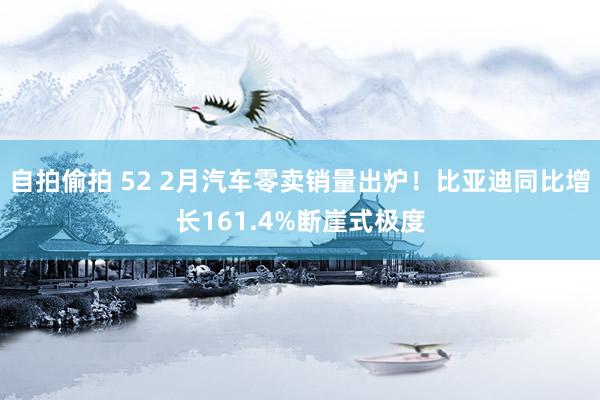 自拍偷拍 52 2月汽车零卖销量出炉！比亚迪同比增长161.4%断崖式极度