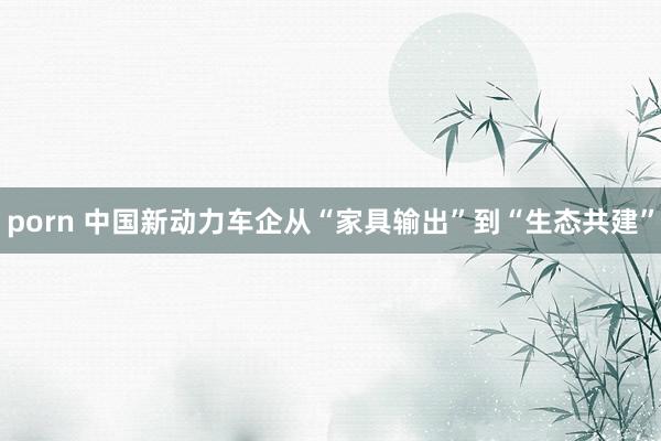 porn 中国新动力车企从“家具输出”到“生态共建”