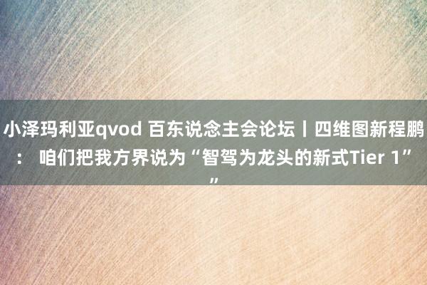 小泽玛利亚qvod 百东说念主会论坛丨四维图新程鹏： 咱们把我方界说为“智驾为龙头的新式Tier 1”