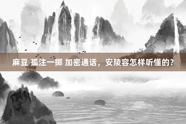 麻豆 孤注一掷 加密通话，安陵容怎样听懂的？