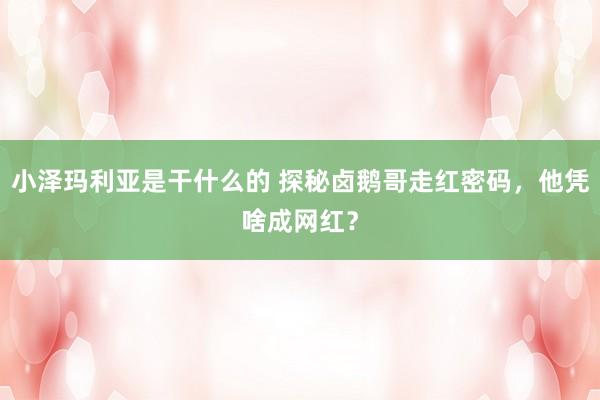 小泽玛利亚是干什么的 探秘卤鹅哥走红密码，他凭啥成网红？