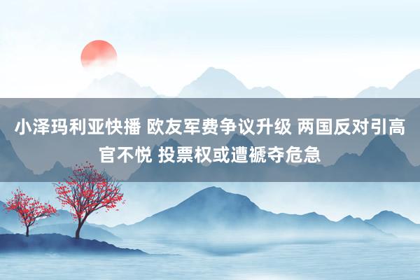 小泽玛利亚快播 欧友军费争议升级 两国反对引高官不悦 投票权或遭褫夺危急