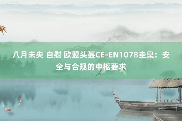八月未央 自慰 欧盟头盔CE-EN1078圭臬：安全与合规的中枢要求