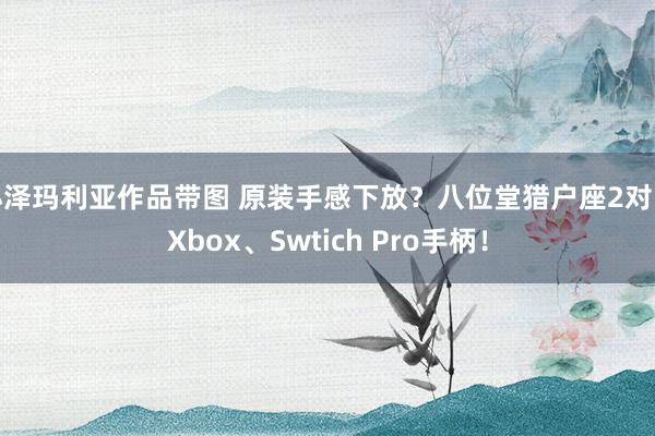 小泽玛利亚作品带图 原装手感下放？八位堂猎户座2对比Xbox、Swtich Pro手柄！