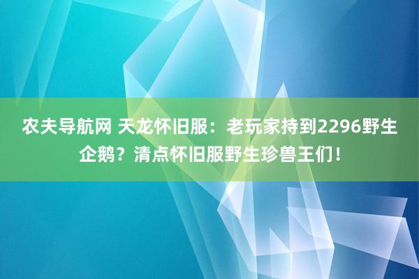 农夫导航网 天龙怀旧服：老玩家持到2296野生企鹅？清点怀旧服野生珍兽王们！