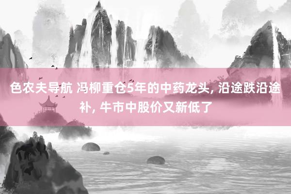 色农夫导航 冯柳重仓5年的中药龙头， 沿途跌沿途补， 牛市中股价又新低了