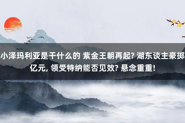 小泽玛利亚是干什么的 紫金王朝再起? 湖东谈主豪掷亿元， 领受特纳能否见效? 悬念重重!