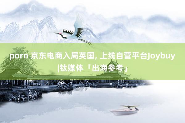 porn 京东电商入局英国， 上线自营平台Joybuy|钛媒体「出海参考」