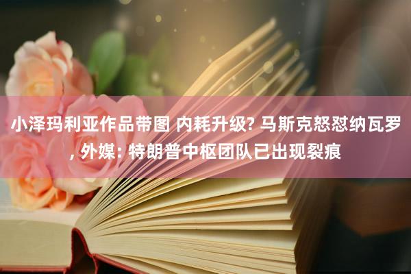 小泽玛利亚作品带图 内耗升级? 马斯克怒怼纳瓦罗， 外媒: 特朗普中枢团队已出现裂痕