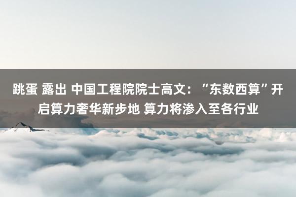 跳蛋 露出 中国工程院院士高文：“东数西算”开启算力奢华新步地 算力将渗入至各行业