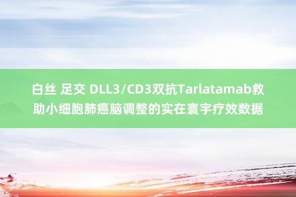 白丝 足交 DLL3/CD3双抗Tarlatamab救助小细胞肺癌脑调整的实在寰宇疗效数据