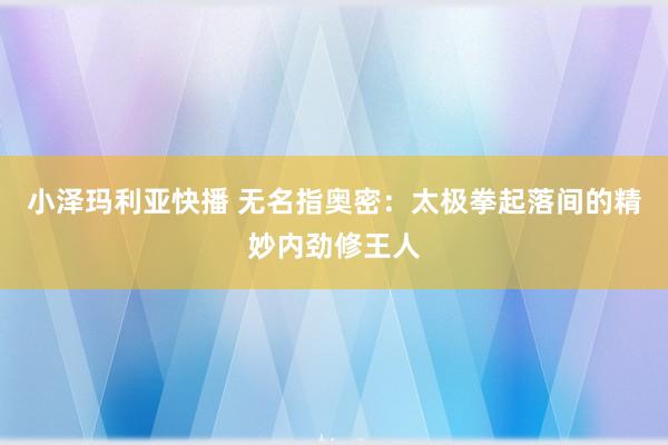 小泽玛利亚快播 无名指奥密：太极拳起落间的精妙内劲修王人