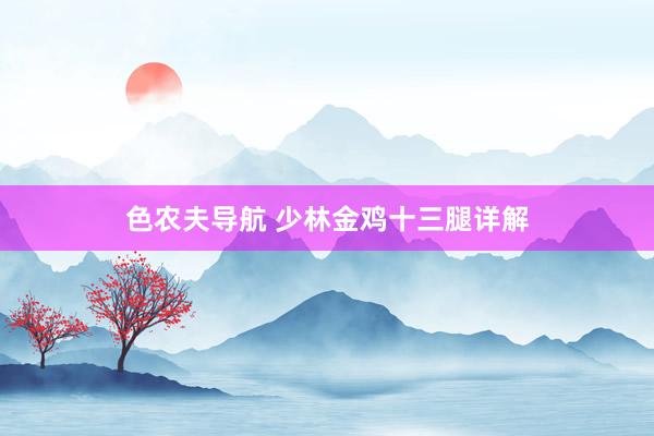 色农夫导航 少林金鸡十三腿详解