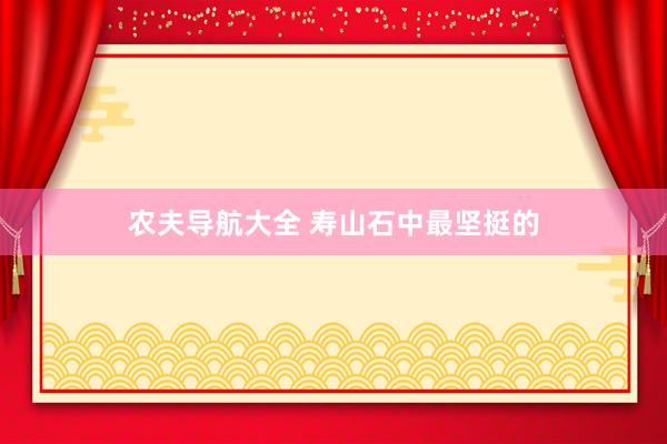农夫导航大全 寿山石中最坚挺的